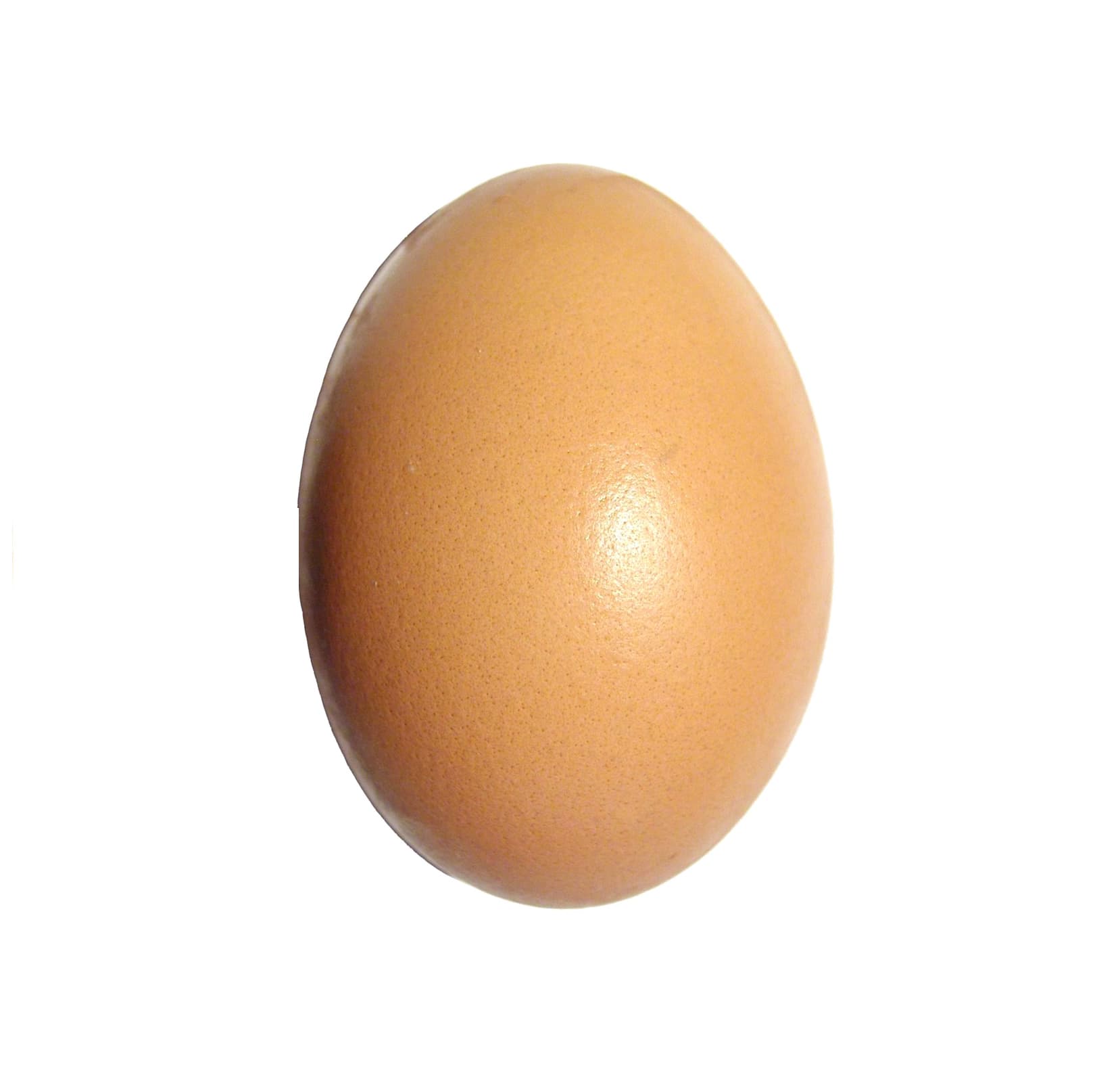 Egg 12 Piece